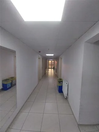 Görsel