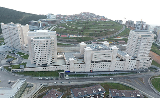 Genel Bakış