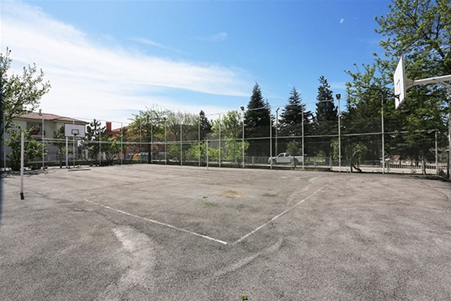 Basketbol Sahası