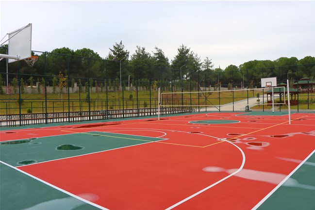 Spor Alanları